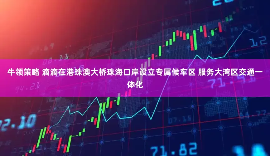 牛领策略 滴滴在港珠澳大桥珠海口岸设立专属候车区 服务大湾区交通一体化