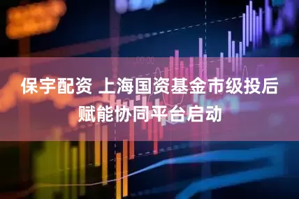 保宇配资 上海国资基金市级投后赋能协同平台启动